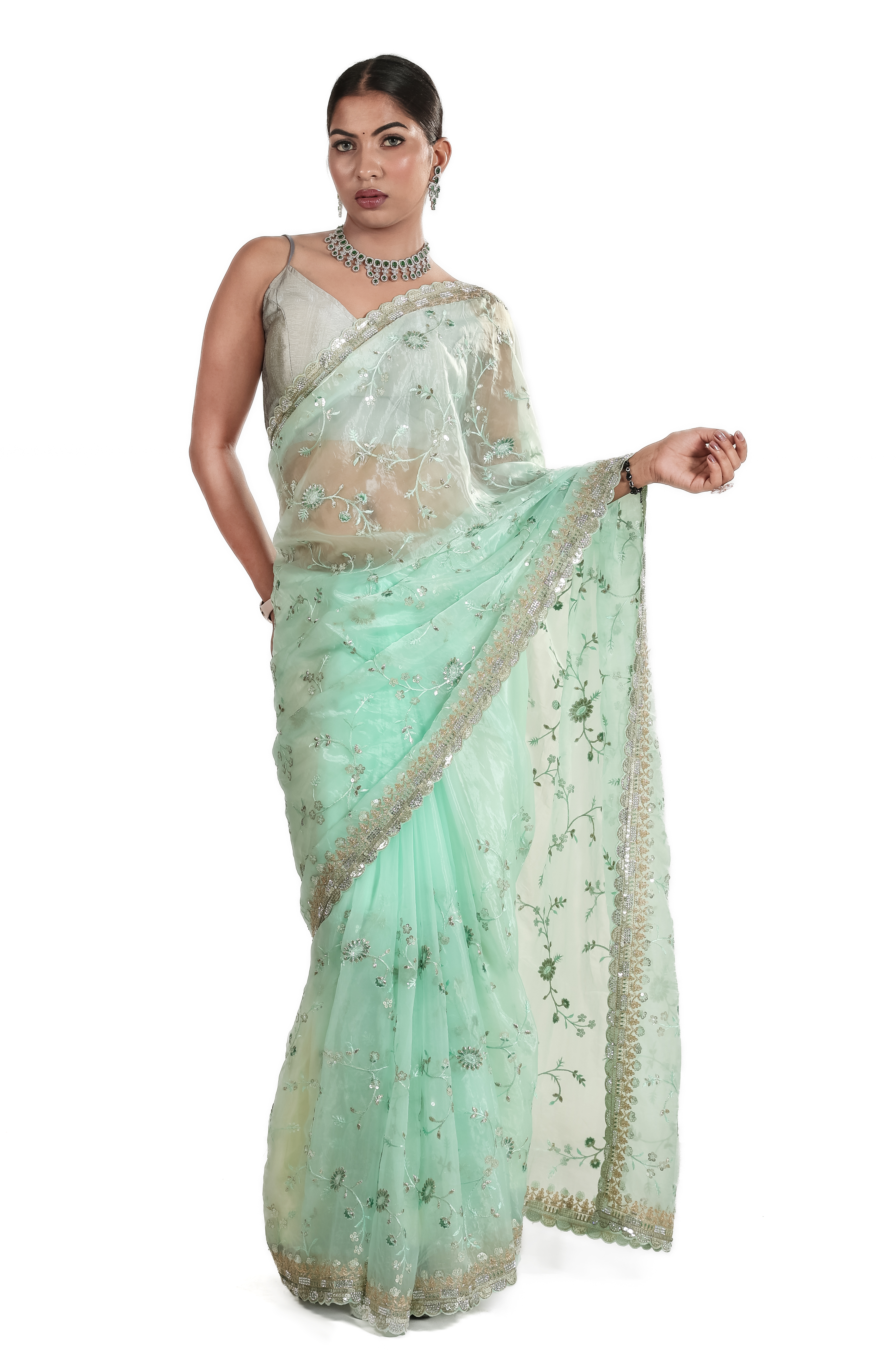 Pastel Green Net Embroidered Saree with Silver Border & Designer Blouse
