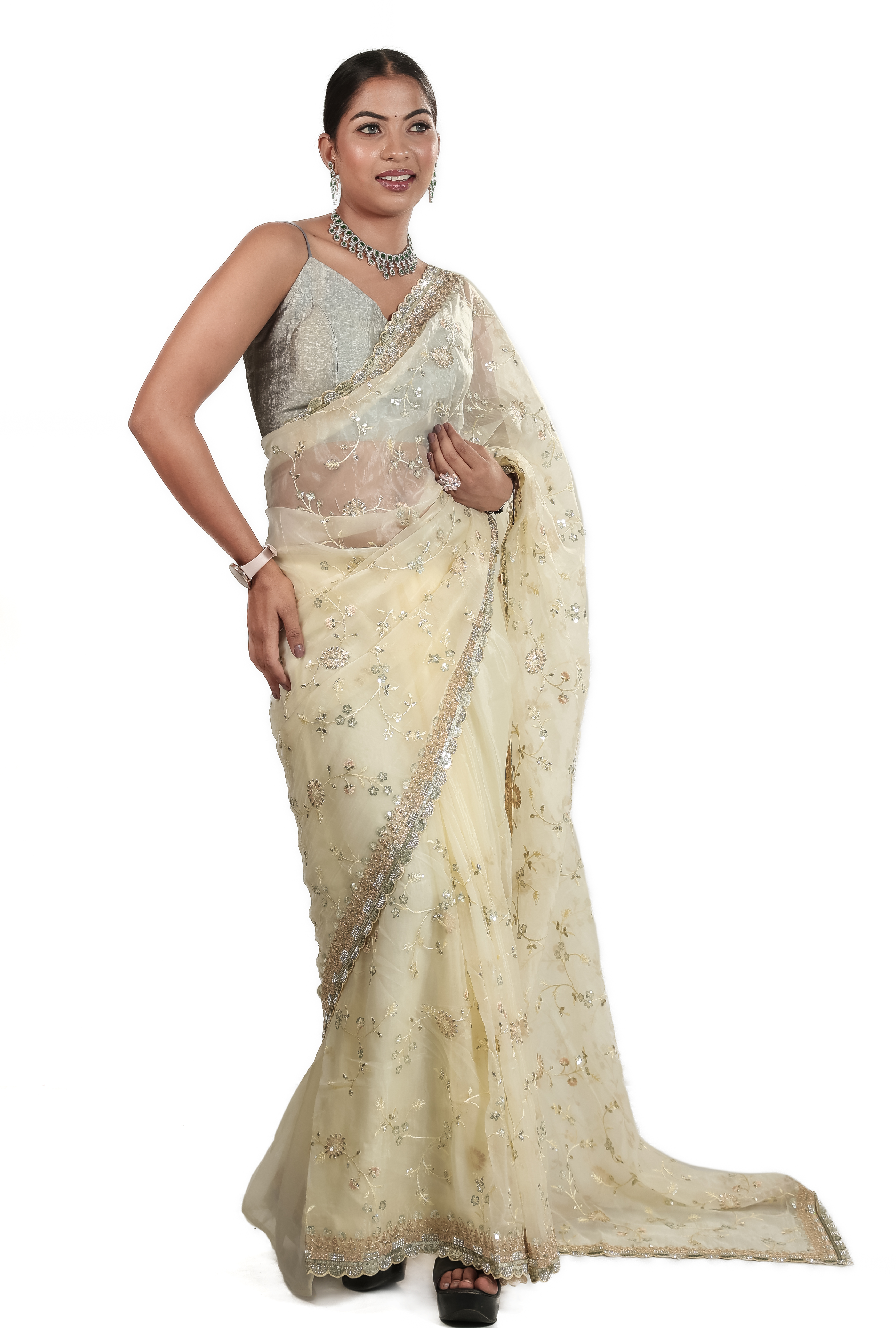 Premium Cream Net Embroidered Saree with Silver Border & Designer Blouse