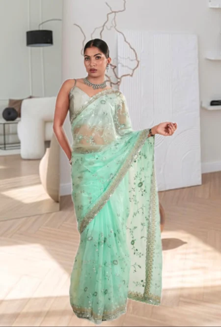 Pastel Green Net Embroidered Saree with Silver Border & Designer Blouse