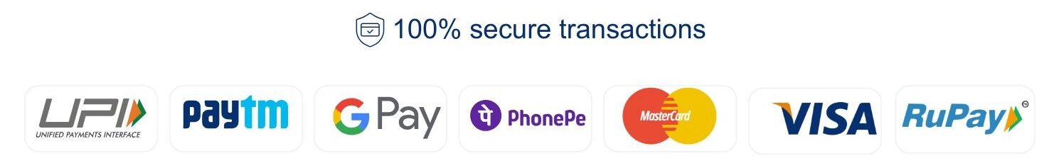 100% Secure Payment Options